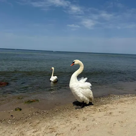 Apartamento Wakacyjny Promenada Gwiazd 28 - Parking Gratis Miedzyzdroje